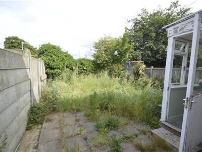 Picture 8